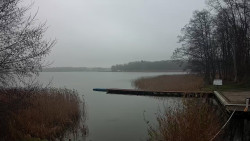 Kisajno, Port Sailor