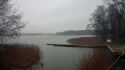 Kisajno, Port Sailor