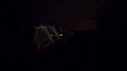 Kisajno, Port Sailor