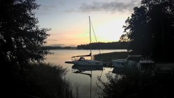 The port sailor