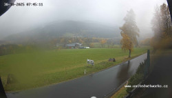 Údolí Úhlavy, Královský Hvozd