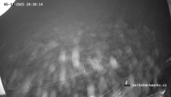 Údolí Úhlavy, Královský Hvozd