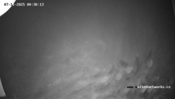 Snímek 7.11.2025 v 00:30