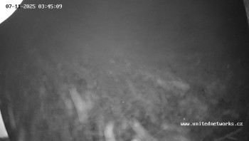 Snímek 7.11.2025 v 03:45