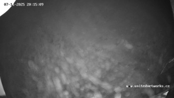 Snímek 7.11.2025 v 20:15