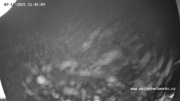 Snímek 7.11.2025 v 21:45