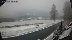 Údolí Úhlavy, Královský Hvozd