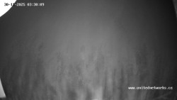 Údolí Úhlavy, Královský Hvozd