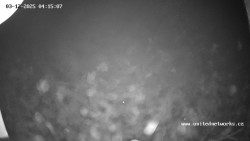 Údolí Úhlavy, Královský Hvozd