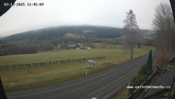 Údolí Úhlavy, Královský Hvozd