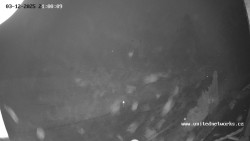 Údolí Úhlavy, Královský Hvozd