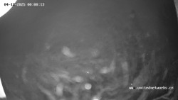 Údolí Úhlavy, Královský Hvozd