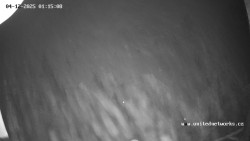 Údolí Úhlavy, Královský Hvozd