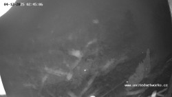 Údolí Úhlavy, Královský Hvozd