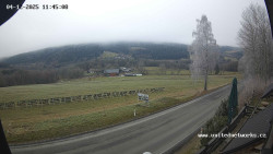 Údolí Úhlavy, Královský Hvozd