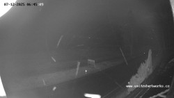 Údolí Úhlavy, Královský Hvozd