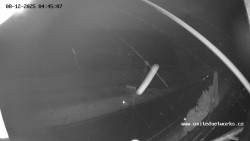 Údolí Úhlavy, Královský Hvozd