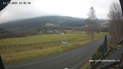 Údolí Úhlavy, Královský Hvozd