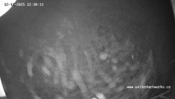 Údolí Úhlavy, Královský Hvozd