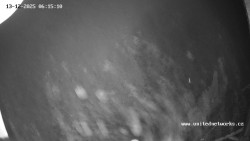 Údolí Úhlavy, Královský Hvozd