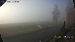 Údolí Úhlavy, Královský Hvozd