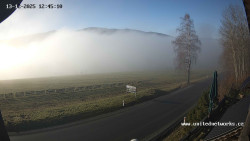 Údolí Úhlavy, Královský Hvozd