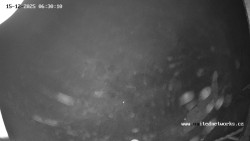 Údolí Úhlavy, Královský Hvozd