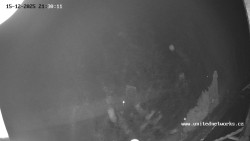 Údolí Úhlavy, Královský Hvozd