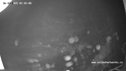 Údolí Úhlavy, Královský Hvozd