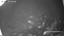 Údolí Úhlavy, Královský Hvozd