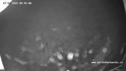 Údolí Úhlavy, Královský Hvozd