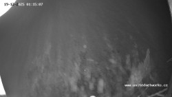 Údolí Úhlavy, Královský Hvozd