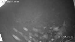 Údolí Úhlavy, Královský Hvozd