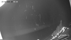 Údolí Úhlavy, Královský Hvozd