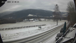 Údolí Úhlavy, Královský Hvozd