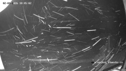 Údolí Úhlavy, Královský Hvozd