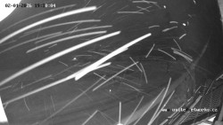 Údolí Úhlavy, Královský Hvozd