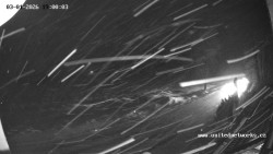 Údolí Úhlavy, Královský Hvozd