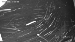 Údolí Úhlavy, Královský Hvozd