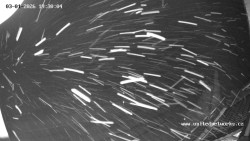 Údolí Úhlavy, Královský Hvozd