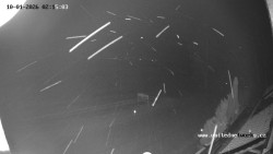 Údolí Úhlavy, Královský Hvozd