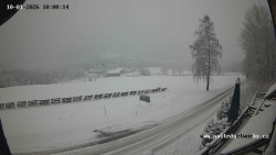 Údolí Úhlavy, Královský Hvozd