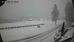 Údolí Úhlavy, Královský Hvozd