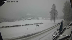 Údolí Úhlavy, Královský Hvozd