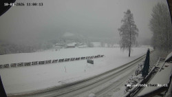 Údolí Úhlavy, Královský Hvozd