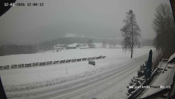 Údolí Úhlavy, Královský Hvozd