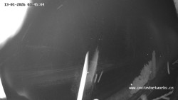 Údolí Úhlavy, Královský Hvozd