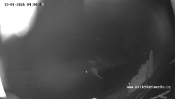 Údolí Úhlavy, Královský Hvozd