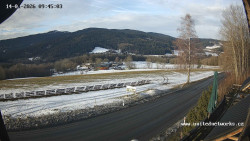 Údolí Úhlavy, Královský Hvozd