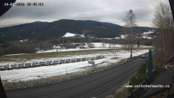 Údolí Úhlavy, Královský Hvozd